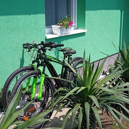 Villa Ruralna Kuca Za Odmor Viktorija à Caglin Extérieur photo