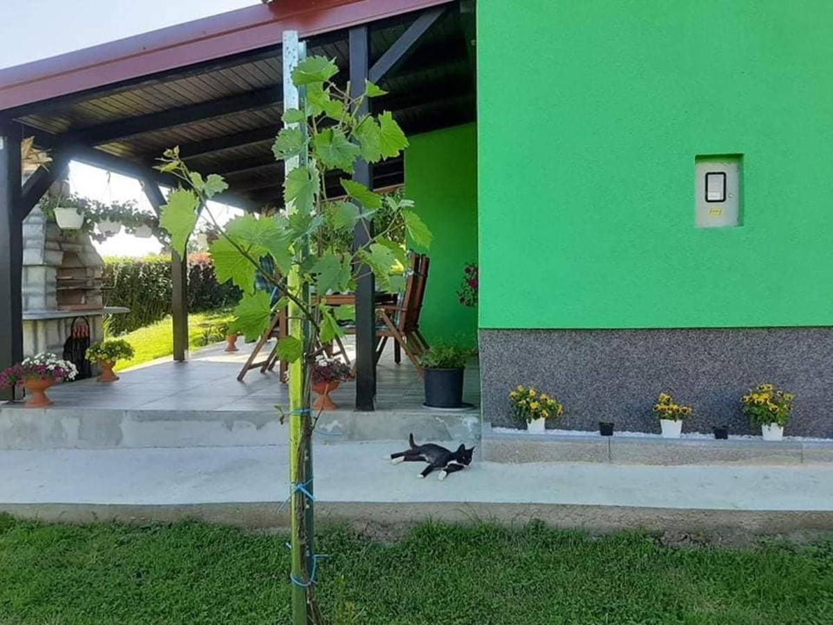 Villa Ruralna Kuca Za Odmor Viktorija à Caglin Extérieur photo