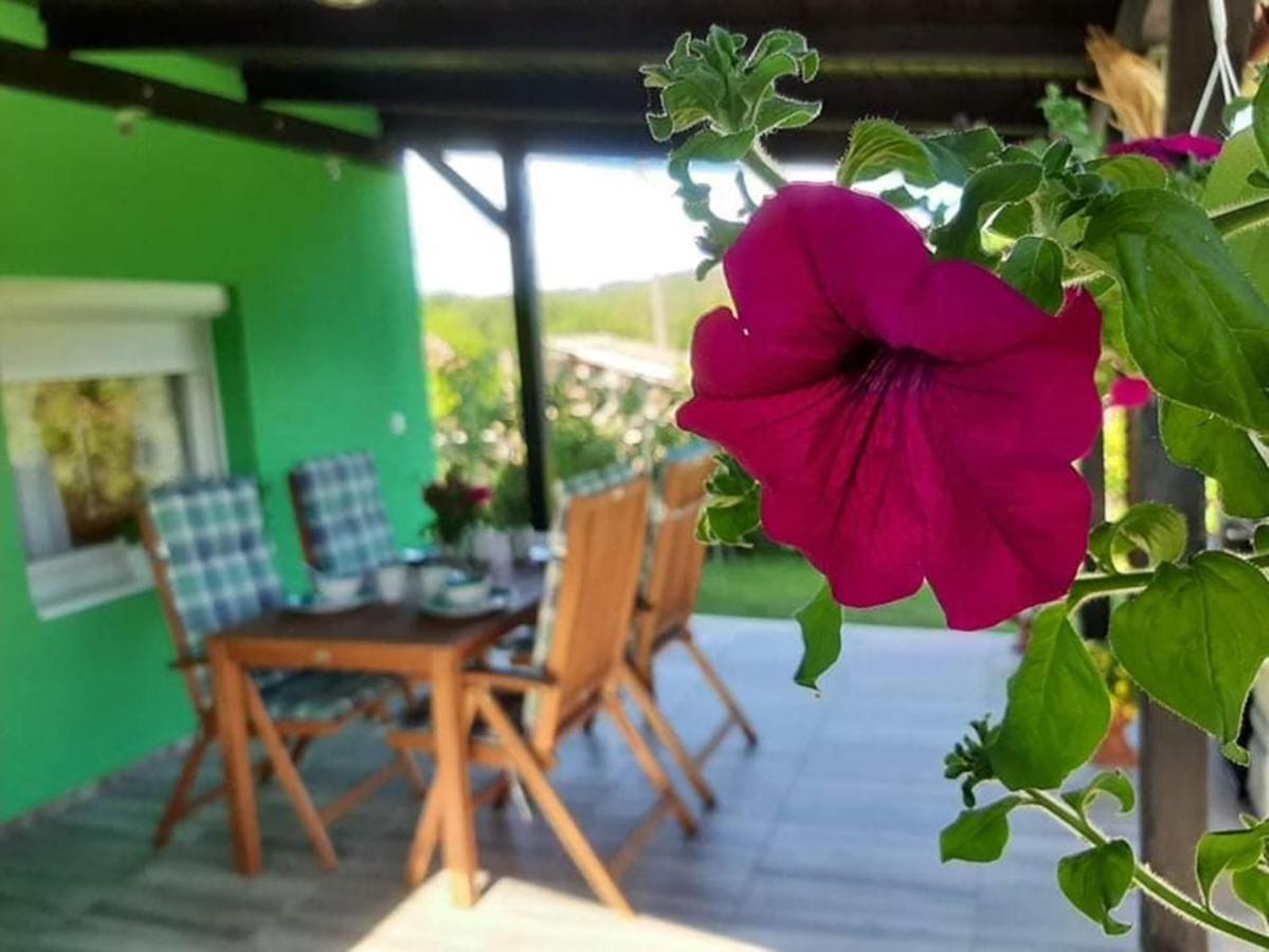 Villa Ruralna Kuca Za Odmor Viktorija à Caglin Extérieur photo