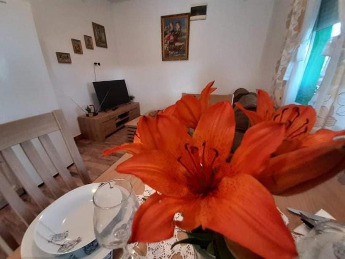 Villa Ruralna Kuca Za Odmor Viktorija à Caglin Extérieur photo
