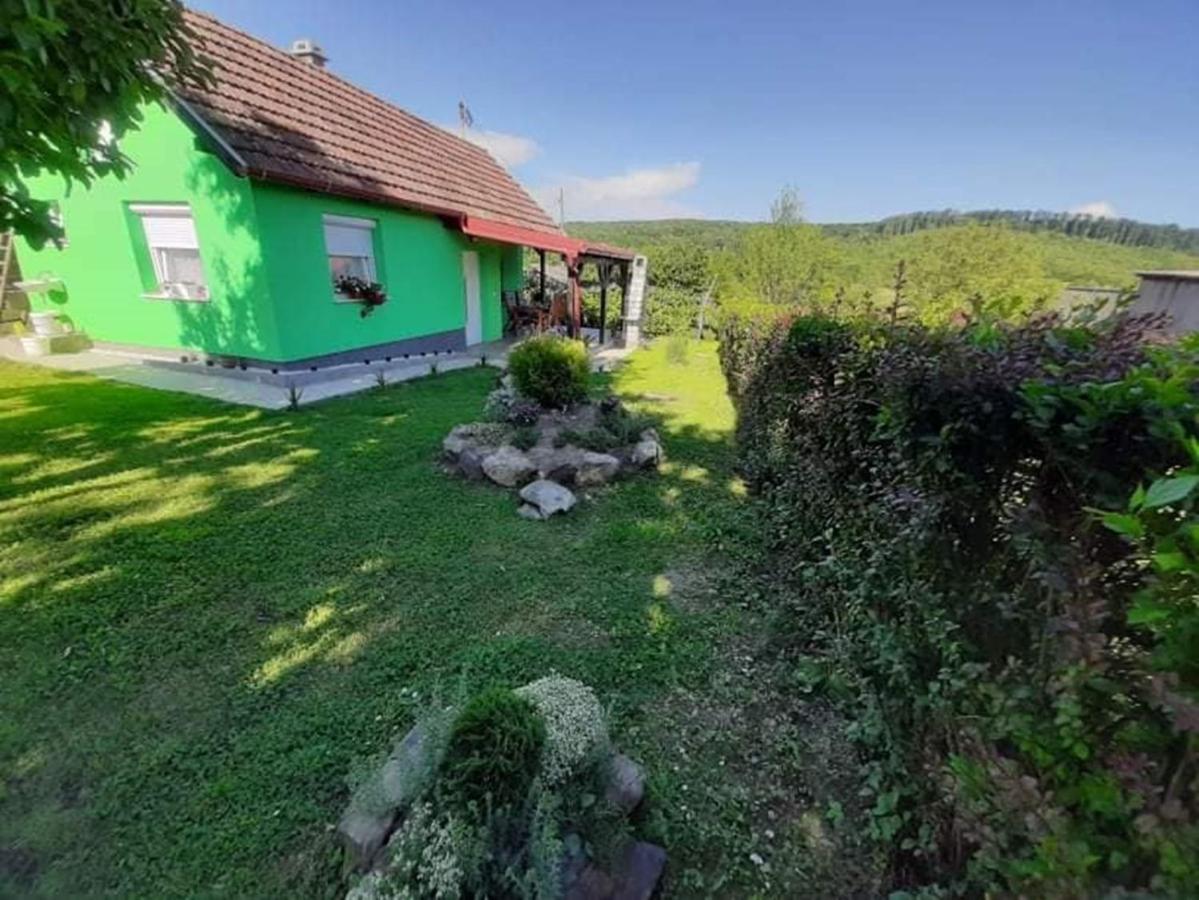 Villa Ruralna Kuca Za Odmor Viktorija à Caglin Extérieur photo